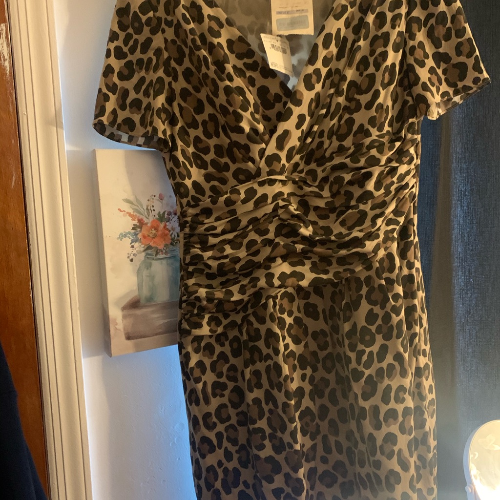 Moschino Cheap And Chic Leopard Print Dress